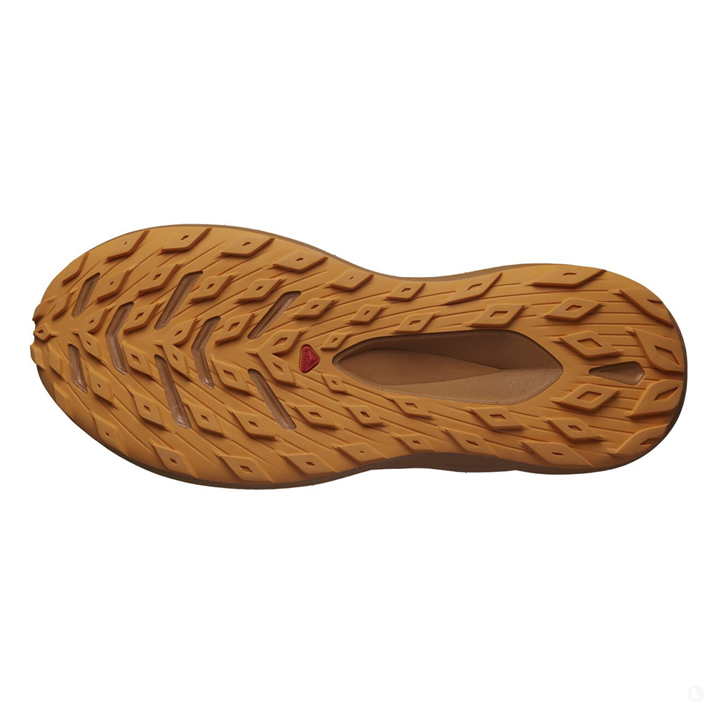 Кроссовки мужские Salomon Glide max tr