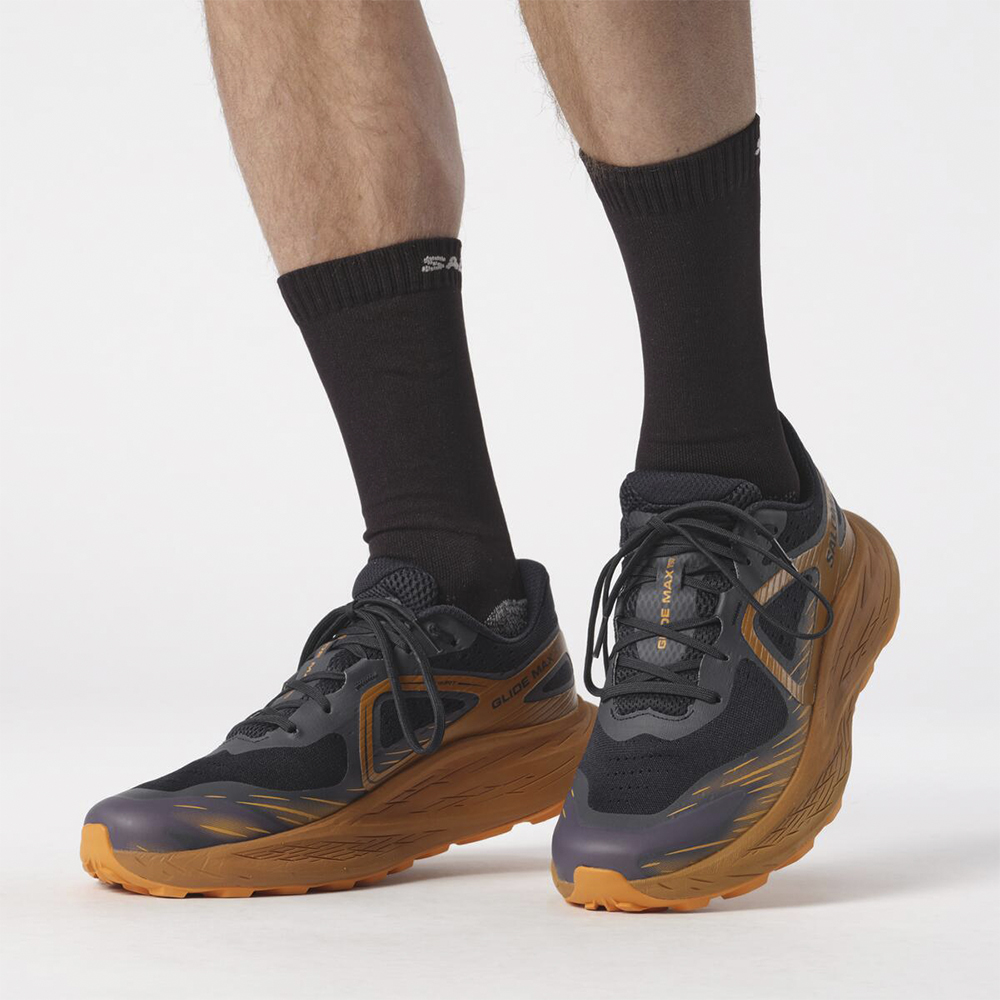 Кроссовки мужские Salomon Glide max tr