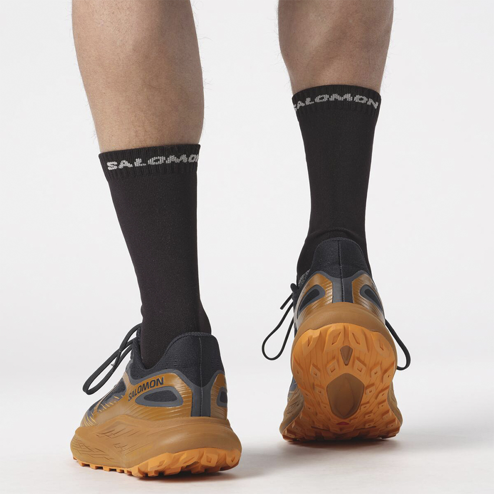 Кроссовки мужские Salomon Glide max tr