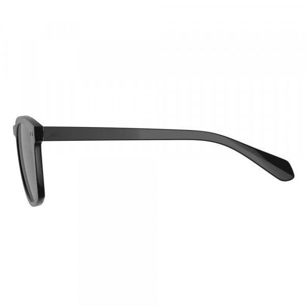 Очки солнцезащитные Alpina Sunbeam 