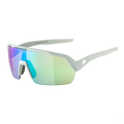 Очки солнцезащитные Alpina Turbo HR