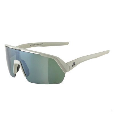 Очки солнцезащитные Alpina Turbo HR