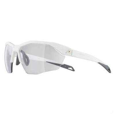 Очки солнцезащитные Alpina Twist Six S HR