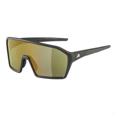 Велосипедные очки Alpina Ram 2.0