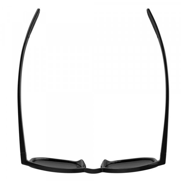 Очки солнцезащитные Alpina Dimont Очки солнцезащитные Alpina Dimont