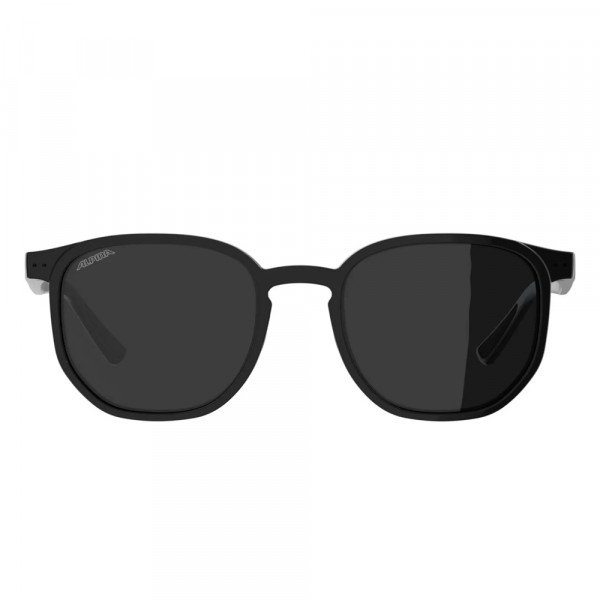 Очки солнцезащитные Alpina Dimont 