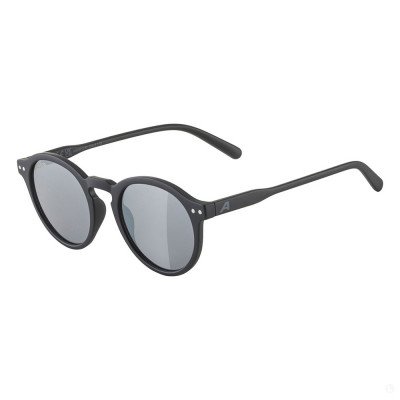 Очки солнцезащитные Alpina Sneek 2.0