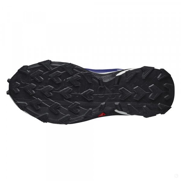 Кроссовки для бега женские Salomon Supercross 4 gtx