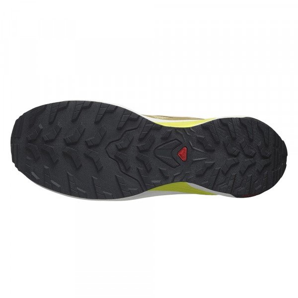 Кроссовки для бега мужские Salomon X-Adventure