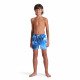 Шорты детские пляжные Arena Water prints