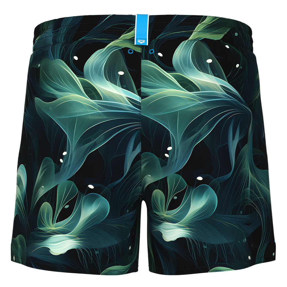 Шорты мужские пляжные Arena Water prints ao