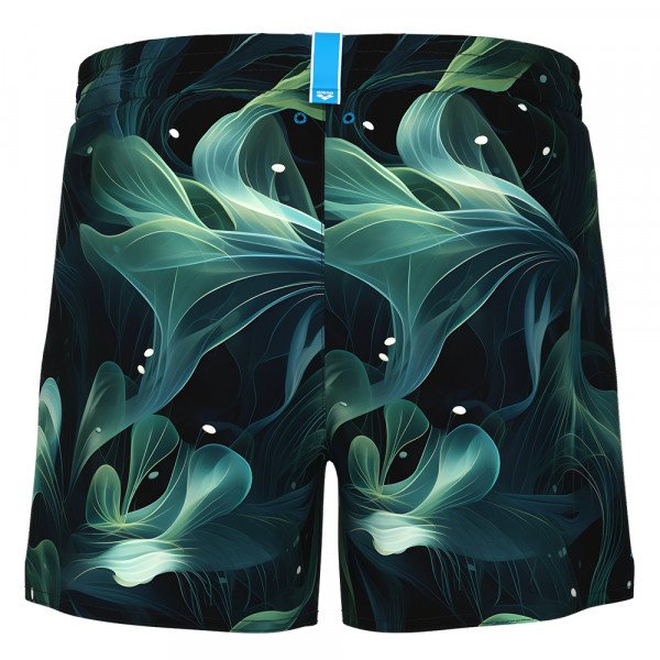 Шорты мужские пляжные Arena Water prints ao