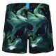 Шорты мужские пляжные Arena Water prints ao
