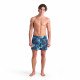 Шорты мужские пляжные Arena Water prints ao