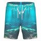 Шорты мужские пляжные Arena Water prints