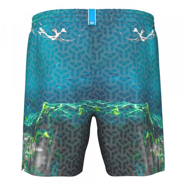 Шорты мужские пляжные Arena Water prints