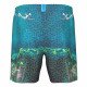 Шорты мужские пляжные Arena Water prints