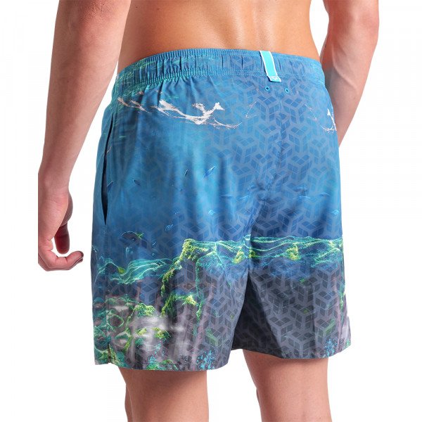 Шорты мужские пляжные Arena Water prints