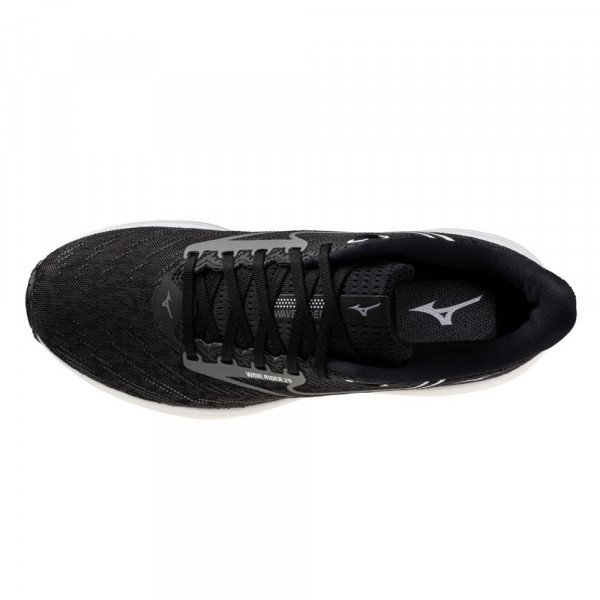 Кроссовки для бега мужские Mizuno Wave Rider 29 