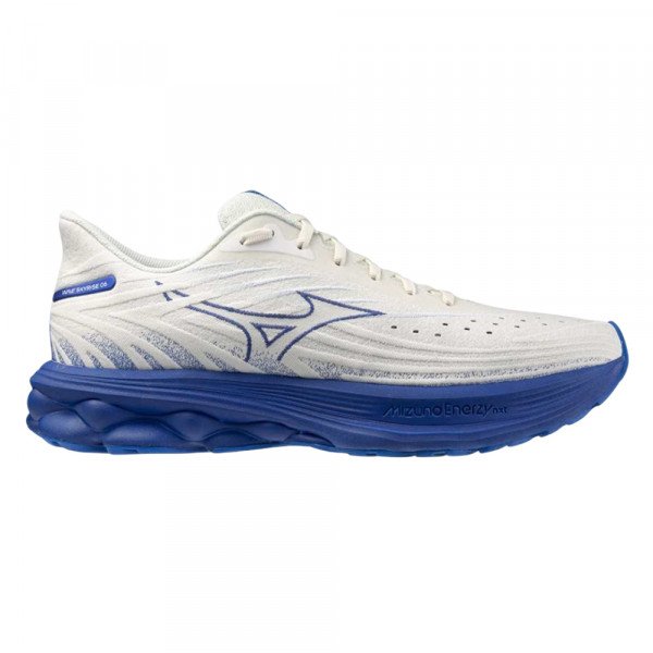 Кроссовки для бега мужские Mizuno Wave Skyrise 6 