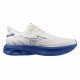 Кроссовки для бега мужские Mizuno Wave Skyrise 6 