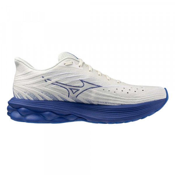 Кроссовки для бега мужские Mizuno Wave Skyrise 6 