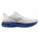 Кроссовки для бега мужские Mizuno Wave Skyrise 6 