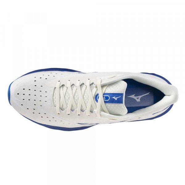 Кроссовки для бега мужские Mizuno Wave Skyrise 6 