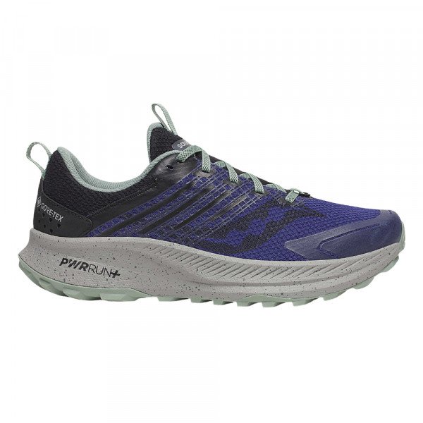 Кроссовки для бега мужские Saucony Ride Tr2 gtx 