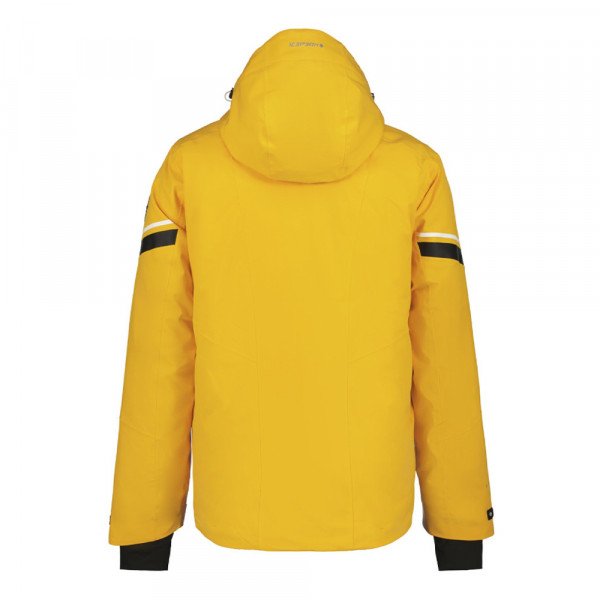 Куртка горнолыжная мужская Icepeak Frisco Куртка горнолыжная мужская Icepeak Frisco