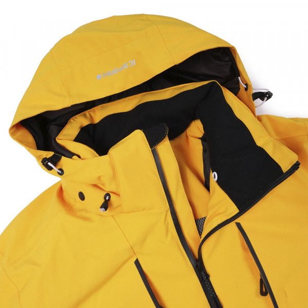 Куртка горнолыжная мужская Icepeak Frisco Куртка горнолыжная мужская Icepeak Frisco