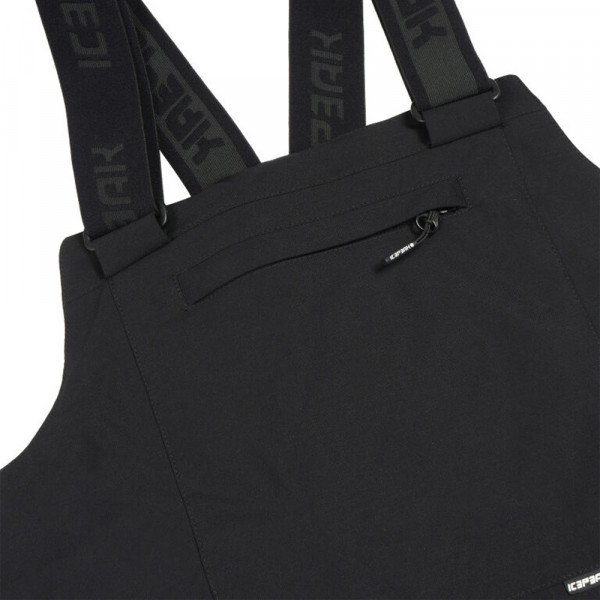 Брюки-комбинезон горнолыжные мужские Icepeak Cambo