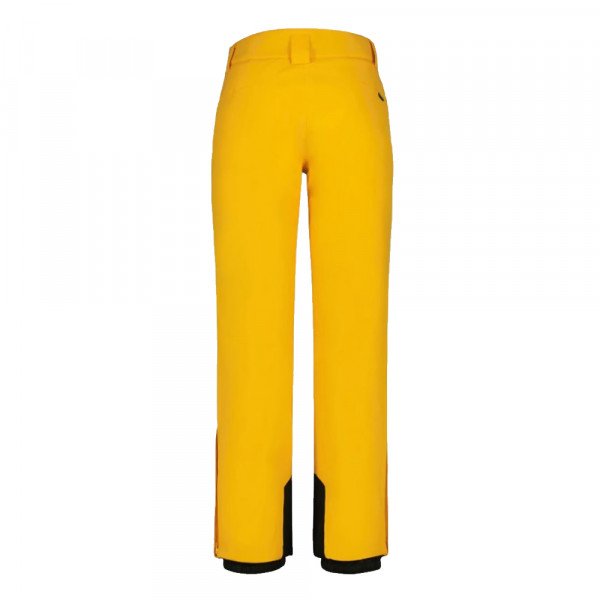 Брюки горнолыжные мужские Icepeak Fleming Брюки горнолыжные мужские Icepeak Fleming