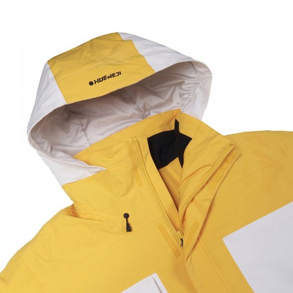 Куртка горнолыжная мужская Icepeak Cale