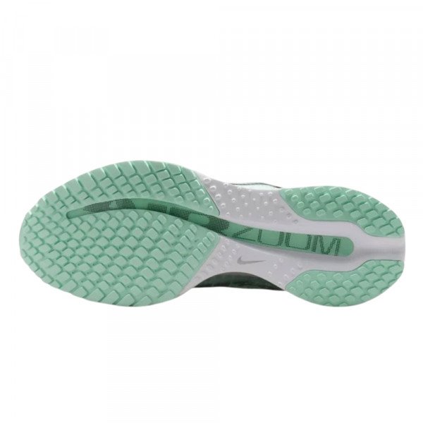 Кроссовки для бега женские Nike Pegasus premium 