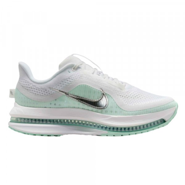 Кроссовки для бега женские Nike Pegasus premium 