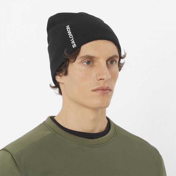 Шапка Salomon Graphic 