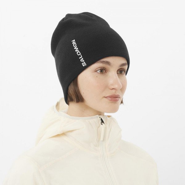 Шапка Salomon Graphic 