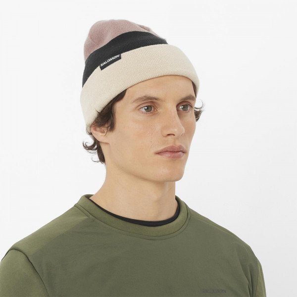 Шапка Salomon Flatspin Reversible 