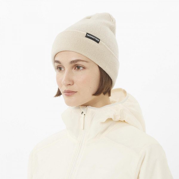 Шапка Salomon Flatspin Reversible 