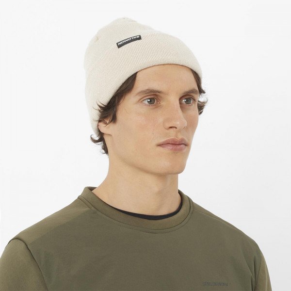 Шапка Salomon Flatspin Reversible 