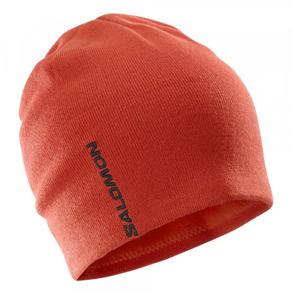 Шапка Salomon Graphic 