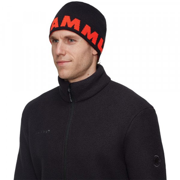 Шапка Mammut Logo 
