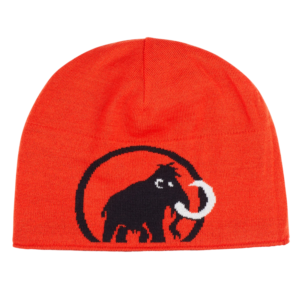 Шапка Mammut Logo 