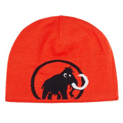 Шапка Mammut Logo  Шапка Mammut Logo