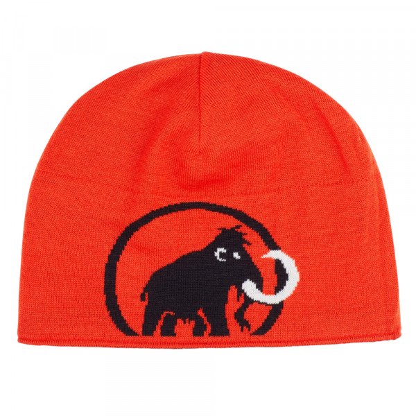 Шапка Mammut Logo 