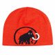 Шапка Mammut Logo 