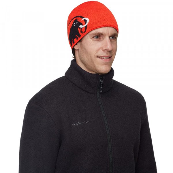 Шапка Mammut Logo 