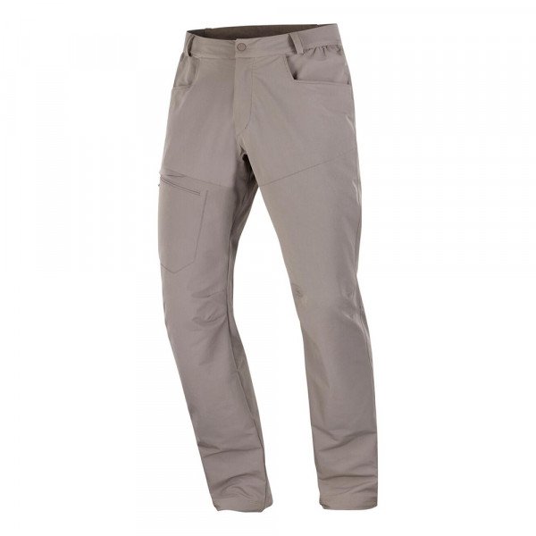 Треккинговые брюки мужские Salomon Wayfarer Warm 