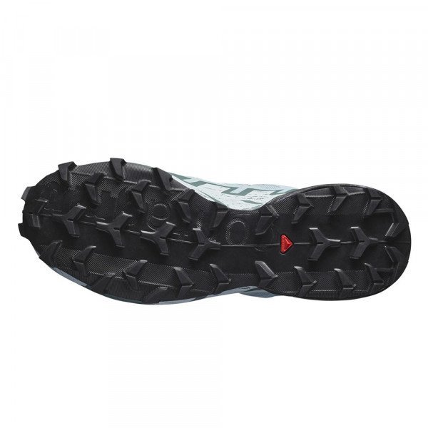 Треккинговые кроссовки женские Salomon Speedcross 6 gtx 
